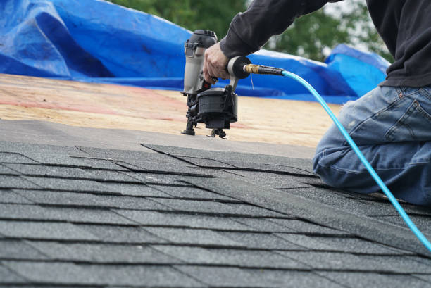 Best Residential Roof Replacement  in Web, AL