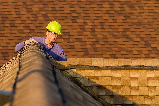 Residential Roof Replacement in Web, AL