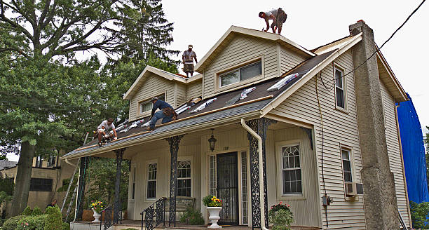 Quick and Trustworthy Emergency Roof Repair Services in Web, AL