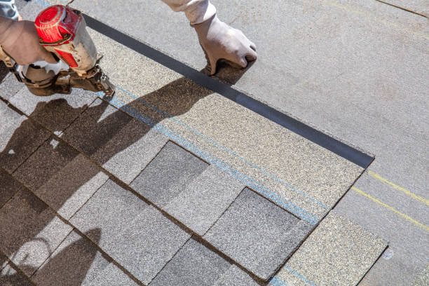 Best Shingle Roofing Installation  in Web, AL