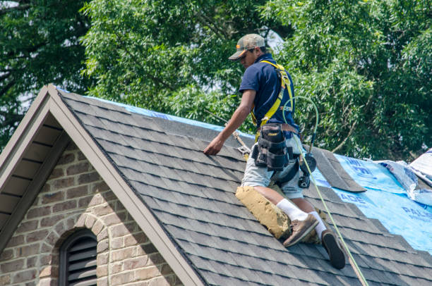 Professional Roofing Contractor in Web, AL